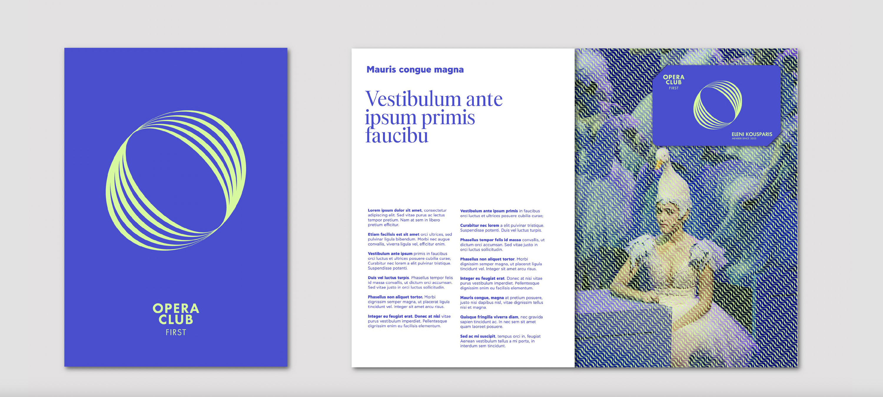 Dimitra Chrona Greek National Opera schema design Greek National Opera Visual identity Membership Programme 19